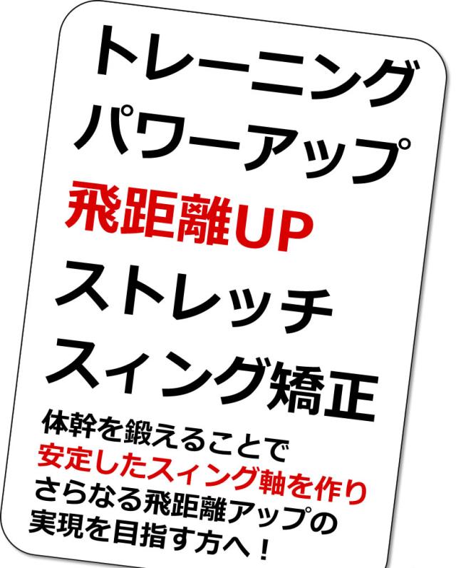 ワールドイーグル パワードッキースイング WE-PDS_1