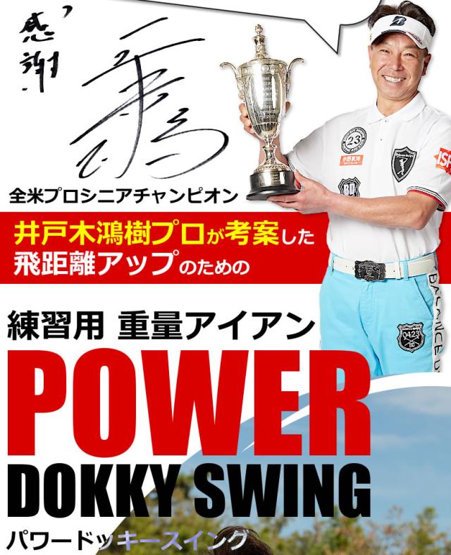 ワールドイーグル パワードッキースイング WE-PDS_2