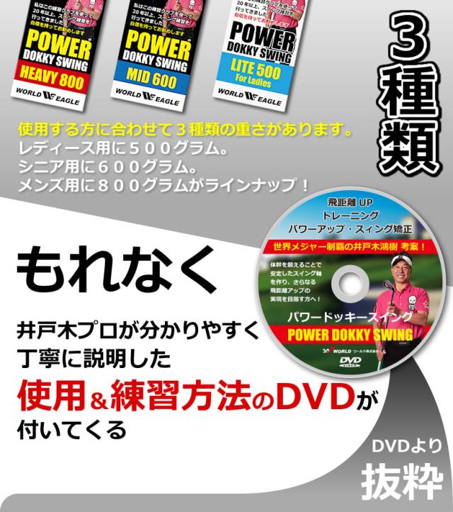 ワールドイーグル パワードッキースイング WE-PDS_4