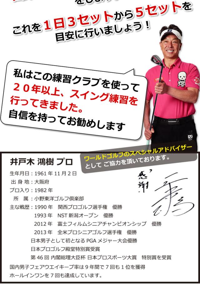 ワールドイーグル パワードッキースイング WE-PDS_9