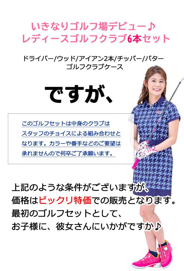 春のグリーンキャンペーン　ワールドイーグル ゴルフ レディース 6本 クラブセット 右用 初心者 スターターセット いきなりゴルフ場デビュー 春のグリーンキャンペーン ワールドイーグル ゴルフ レディース 6本