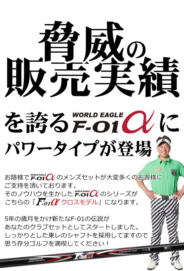 ワールドイーグル ゴルフ メンズ F-01 クロス 14点 クラブセット 右用 左用 フレックスR S スタンドバッグ付き_2