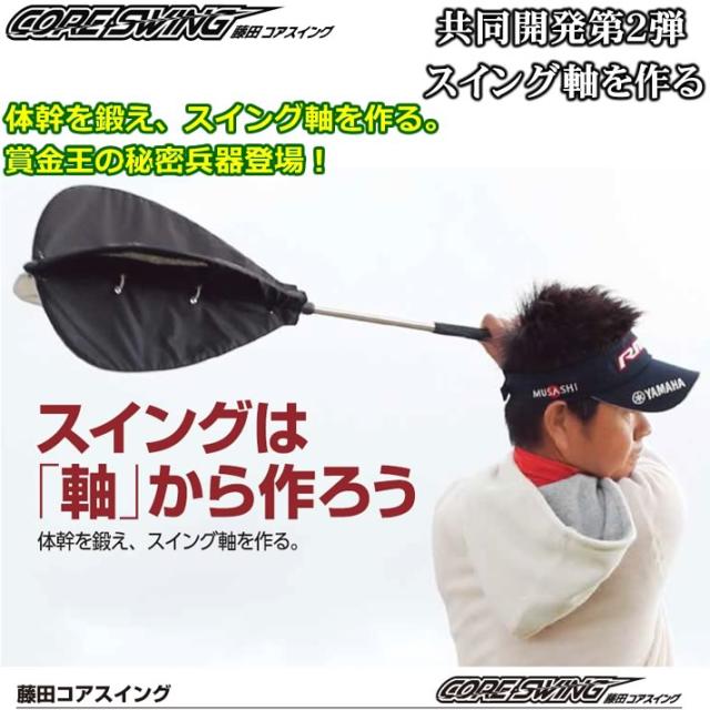 タバタ 藤田コアスイング GV-0233 【IR】_1