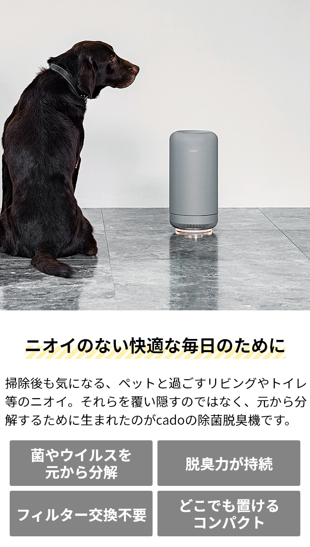 カドー 選べる豪華特典 オゾン脱臭機 除菌脱臭機 SAP-003 脱臭器 強力 フィルター交換不要 脱臭 消臭 除菌 ペット 犬 猫 タバコ トイレ 生ゴミ おむつ 臭い 玄関 台所 キッチン 小型 コンパクト 小さい おしゃれ 加齢臭 生活臭 オゾン 消臭機 発生器 cado