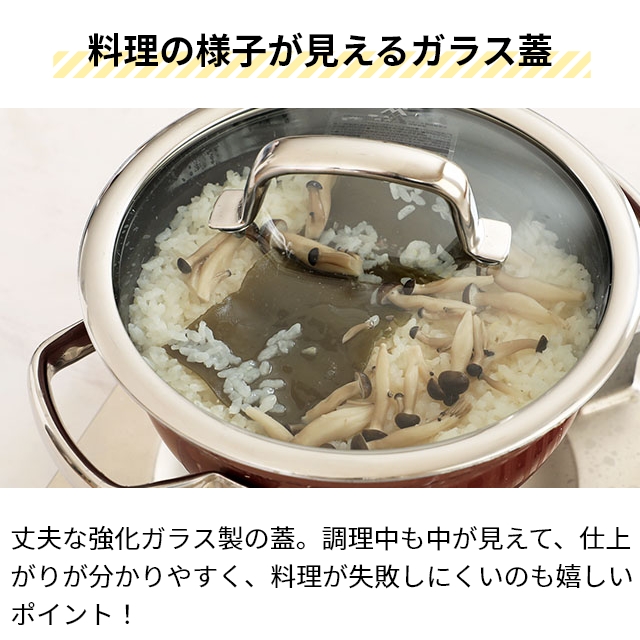 2大特典 ヴェーエムエフ フュージョンテック ミネラル ライスポット 20cm ごはん鍋 両手鍋 小型鍋 ご飯鍋 食洗機対応 深型 小さい 小さめ 揚げ物 直火 おしゃれ 注ぎやすい 炒め物 煮込み 一人暮らし 炊飯 蓋付き WMF_14