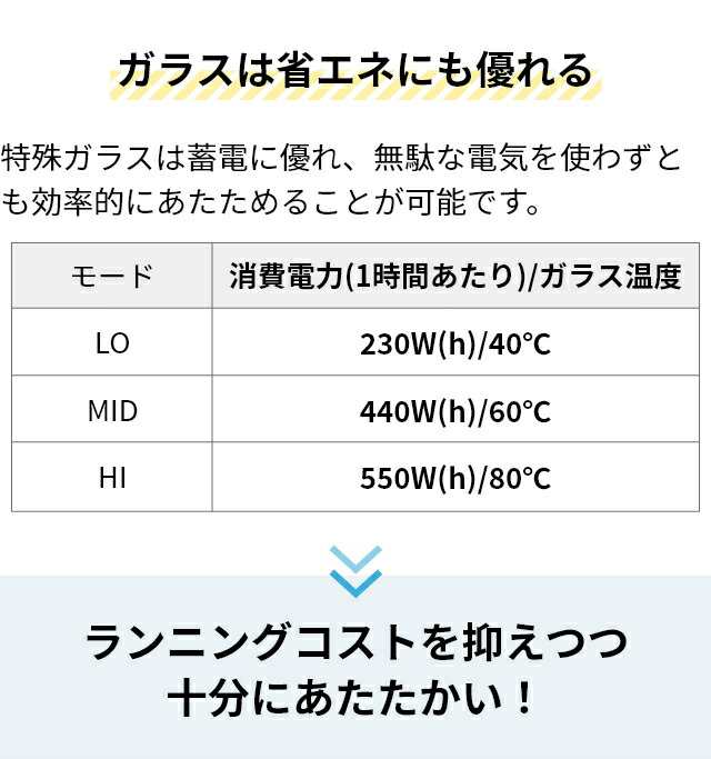 ソノビ 選べる豪華特典 パネルヒーター ダブルグラスヒーター DGH-01