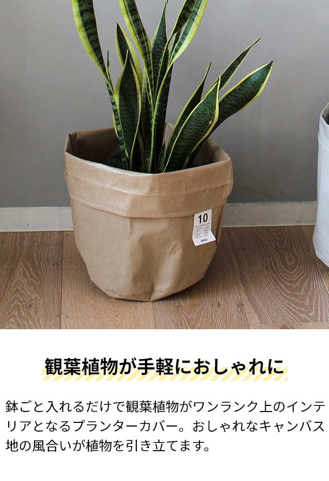 楽天市場】鉢カバー 2号の通販 【2個セット】鉢カバー 鉢 観葉植物