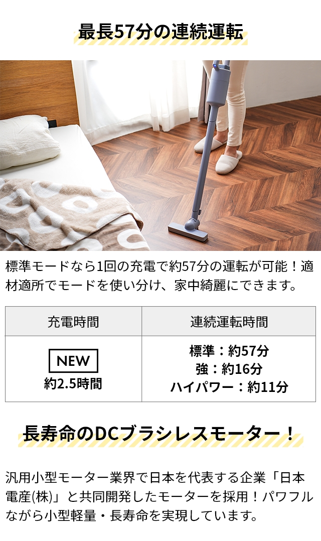 プラスマイナスゼロ 3大特典 掃除機 コードレス コードレスクリーナー