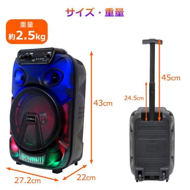 【送料無料】CICONIA チコニア 全身発光LEDパーティースピーカー CTGY10A_11