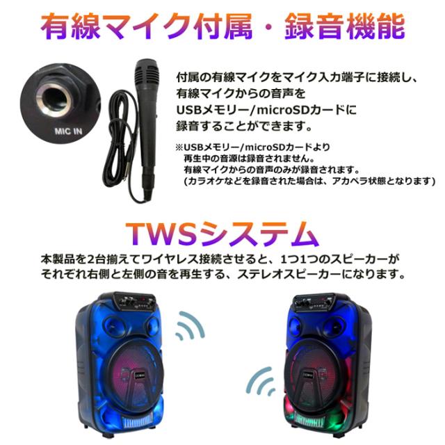【送料無料】CICONIA チコニア 全身発光LEDパーティースピーカー CTGY10A_8