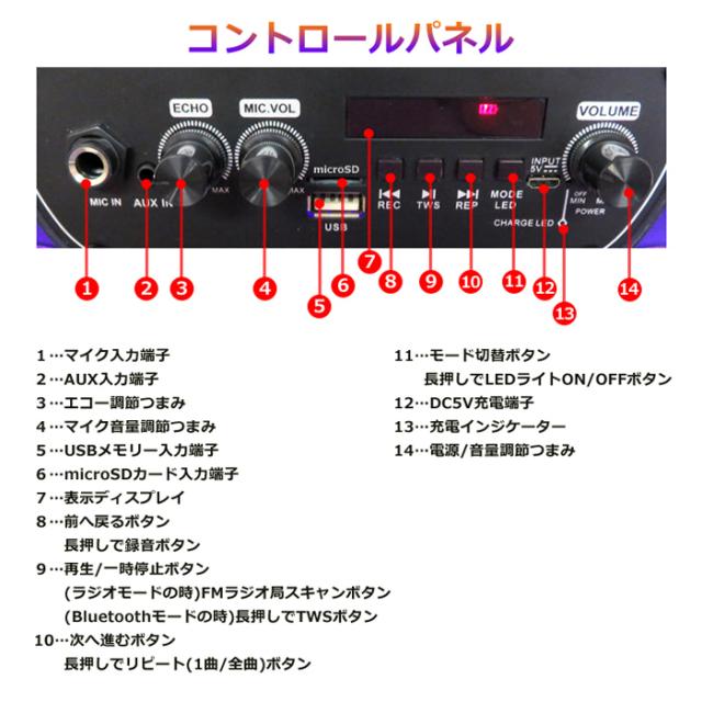 【送料無料】CICONIA チコニア 全身発光LEDパーティースピーカー CTGY10A_9