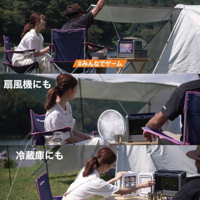 【送料無料】ダイニチ電子 10インチテレビ搭載ポータブル電源 パワーステーションTV PSTV-600_3