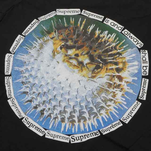 Supreme Blowfish Tee