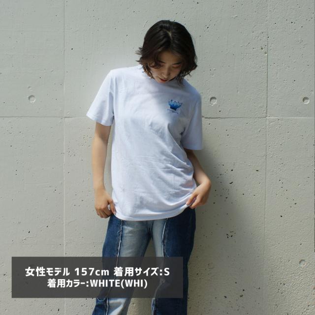 新品 パタゴニア Patagonia Nanairo Ocean Responsibili Tee