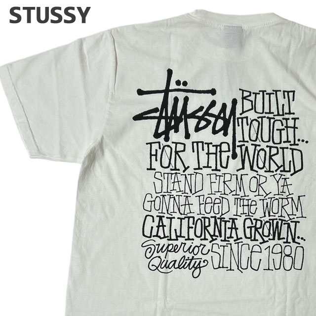 (2024新作)新品 ステューシー STUSSY CALIFORNIA GROWN PIG.DYED TEE ピグメント ダイ Tシャツ スケート ストリート エイトボール ストッ