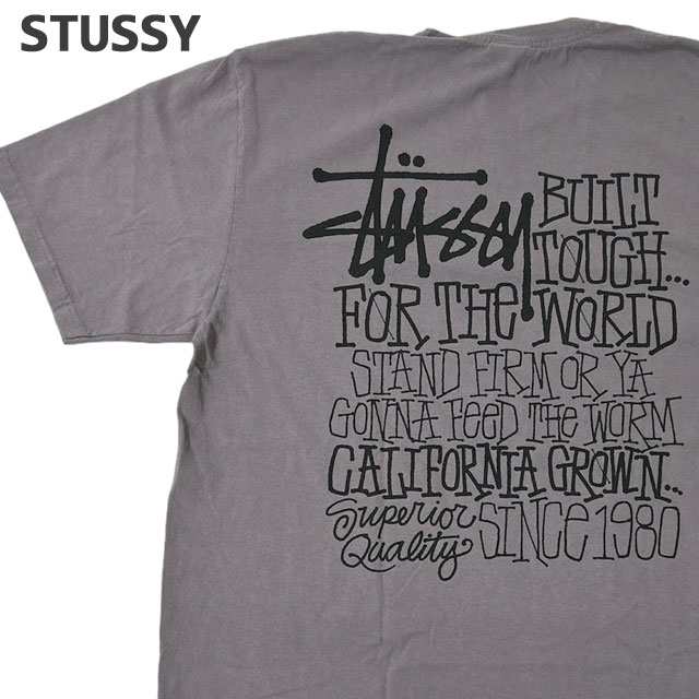 (2024新作)新品 ステューシー STUSSY CALIFORNIA GROWN PIG.DYED TEE ピグメント ダイ Tシャツ スケート ストリート エイトボール ストッ