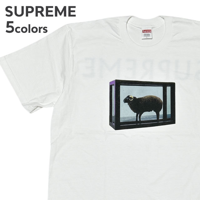 Supreme Damien Hirst Tee 