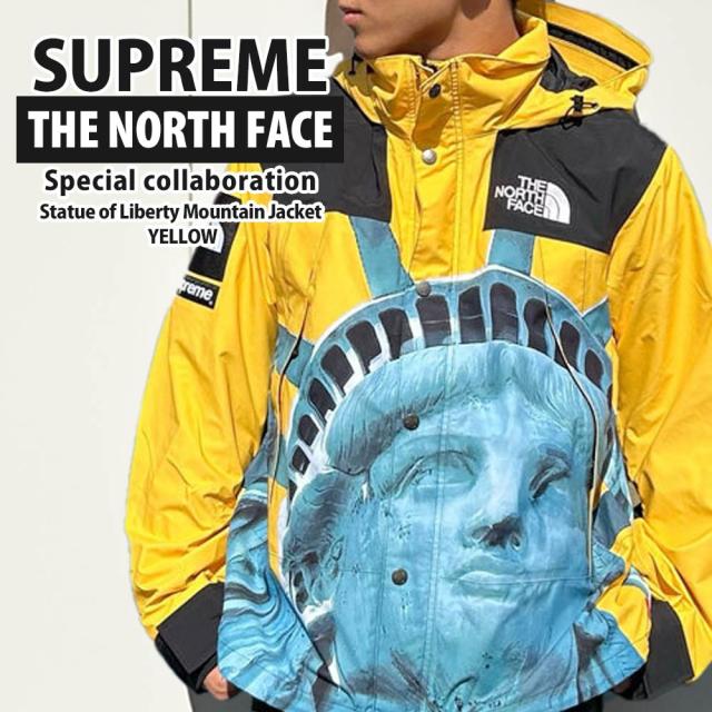 Supreme x The North Face マウンテンジャケット】