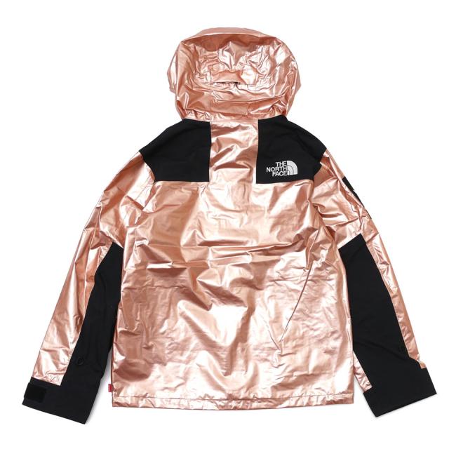 supreme the north face metallic mountain parka
