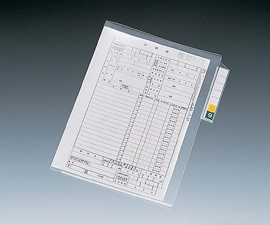 カルテフォルダー　ＨＫ７６０８　２００入
