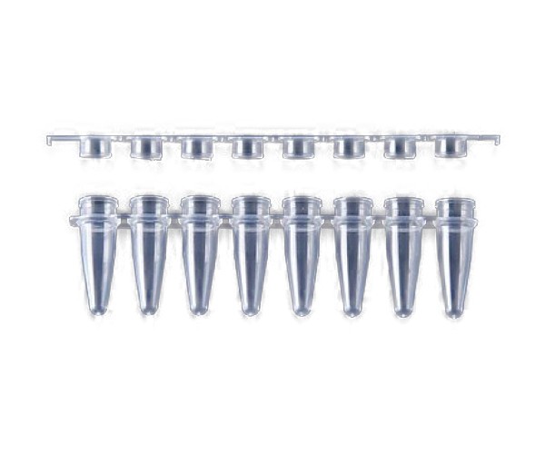 ＰＣＲチューブ　０．２ｍｌ８連フラットの通販は