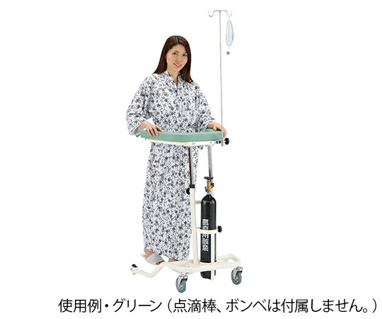 ナビス（アズワン） らくらくあるくん(R) 低床型(ボンベ架付) グリーン Rkun-LGP