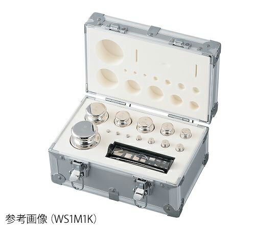 分銅セット WS1M500 アズワン