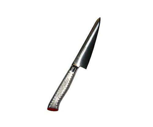 江部松商事 EBM E-pro PLUS 骨スキ 角型 15cm レッド 1個 8735420