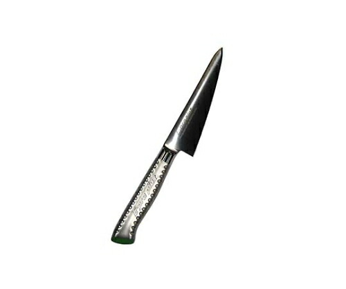江部松商事 EBM E-pro PLUS 骨スキ 角型 15cm グリーン 1個 8735440