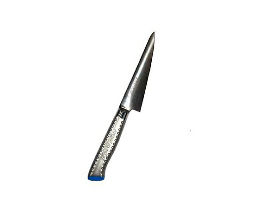 江部松商事 EBM E-pro PLUS 骨スキ 角型 15cm ブルー 1個 8735450