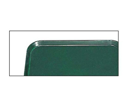 CAMBRO（キャンブロ） キャンブロ カムトレイ 2025(119)シアウッドグリーン 1個 6192700