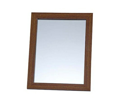 太田アート 防災ミラー S(割れないクン)ブラウン 1個 7476020