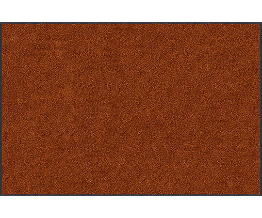 クリーンテックス・ジャパン スタンダードマットS　75×120cm　チョコレートブラウン 1枚 PS0BB511A0N0NCA7J