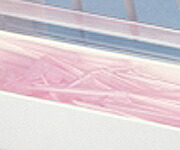 ジャスター１１００用チップＬ白１０００入　【アズワン】