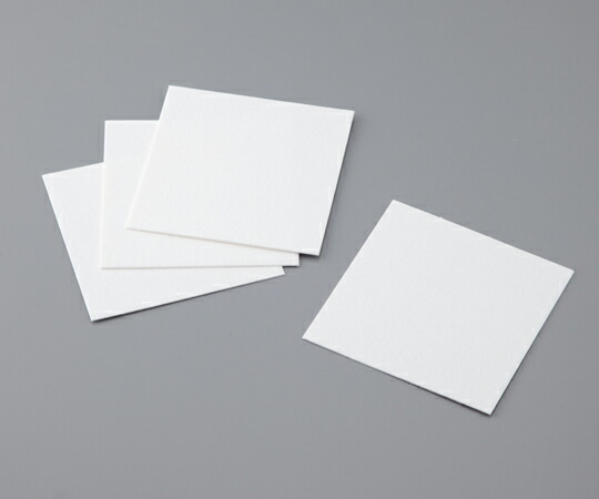 VILLAIN コンペティションバンパープレート2.0 10KGx2枚 ① 渋丸