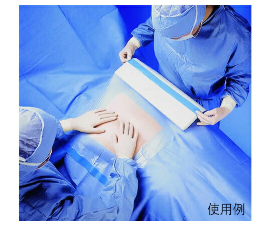 ユーロファーム ユーロダームドレープ　10×24cm 1箱(10個入) 717910の通販は