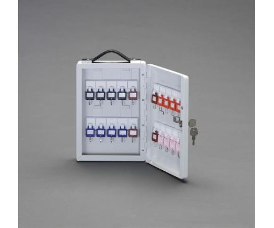 エスコ 195×60×282mmキーボックス(20本用) 1台 EA956VH-20