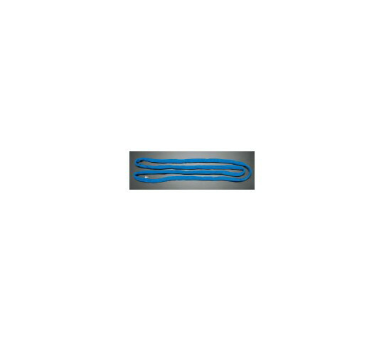 エスコ 34mm×3.0m/1.6tonベルトスリング(エンドレス) 1本 EA981DH-3