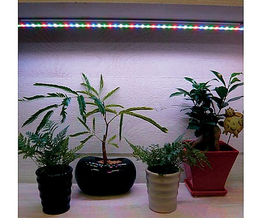 その他 植物育成補光用＋ディスプレイ用ＬＥＤ 1セット