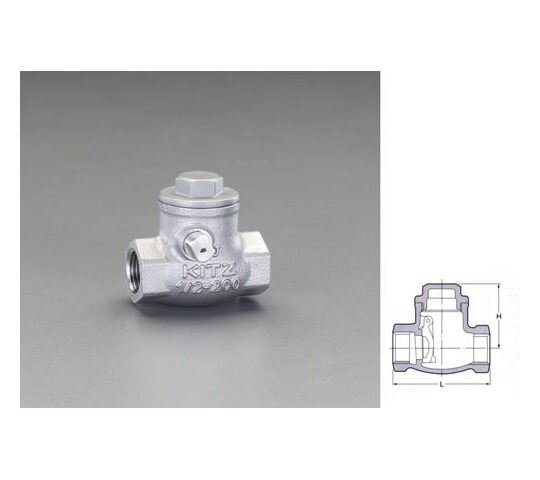 エスコ 1・1/2"スイングチャッキバルブ 1個 EA465AA-14