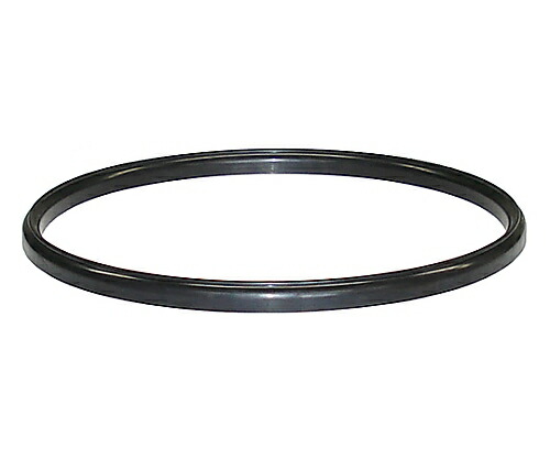 日東金属工業 43用A型バイトンパッキン 1個 PFA-43