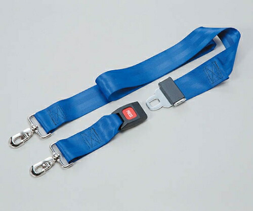 AITEX シートベルトスタイルストラップ 1本 13200036の通販は