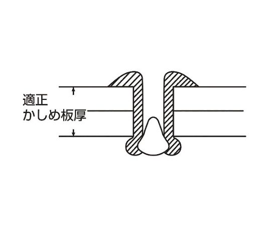 ロブテックス ブラインドリベット　アルミ/スティール　4-10　（1000本入） NSA4-10 1箱(1000本入)_3