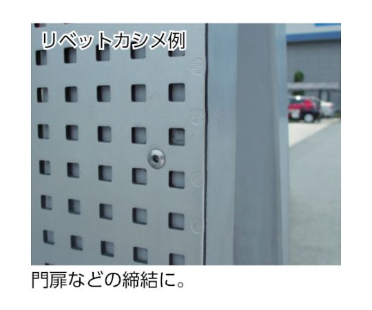 ロブテックス ブラインドリベット（アルミ/アルミ製） 8-8（500本入） 箱入 NA8-8 1箱(500本入)_2