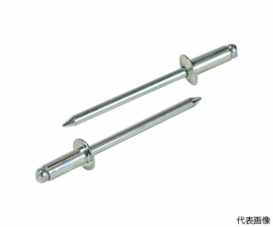 ロブテックス ブラインドリベット（スティール/スティール製） 8-8（500本入） 箱入 NS8-8 1箱(500本入)の通販は