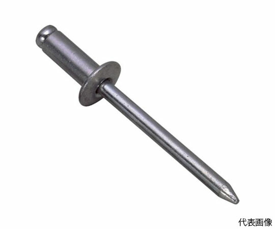 ロブテックス ブラインドリベット（ステンレス/ステンレス製） 4-8（1000本入） 箱入 NST4-8 1箱(1000本入)の通販は