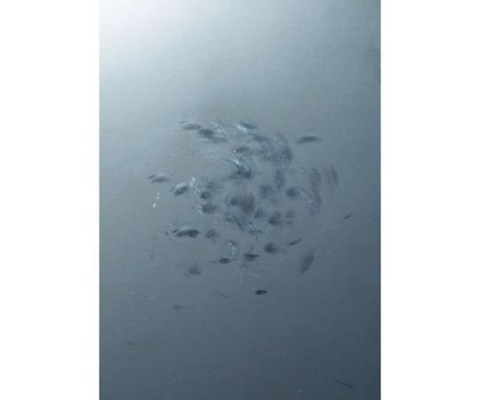 オーエッチ工業 フラット板金ハンマー小口径（縦ナラシ）#1-1/2 FBTS-15 1本_3