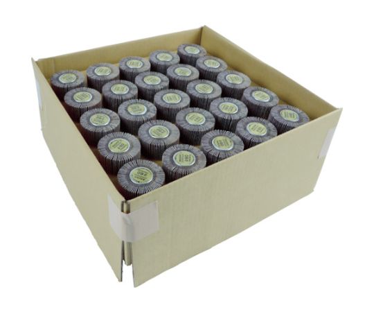 トラスコ中山 まとめ買い フラップホイル外径50×25×軸径6 60# 50個入 UF5025-60-50P 1箱(50個入)