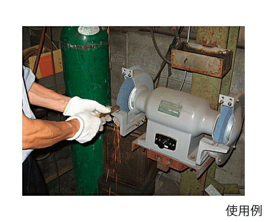 エスコ 205×19×15.88mm/WA#60平砥石 EA818AY-21 1枚の通販は 5,442円