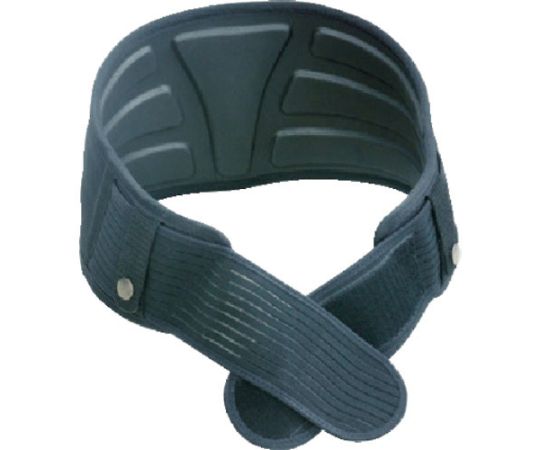 サンコー（タイタン） 腰部サポーター プロガードスリーディー ストレッチフラップ付 L PGRL 1本の通販は 6,563円